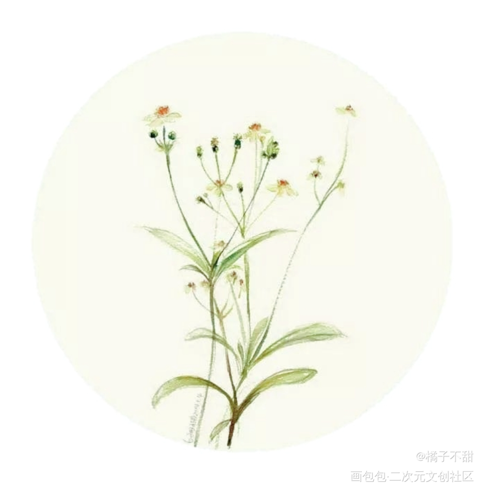 _板绘涂绘画作品
