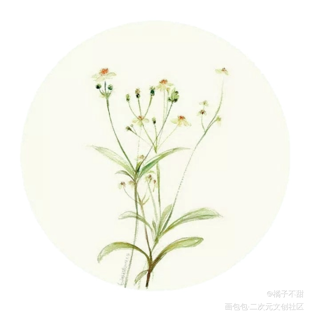_板绘涂绘画作品