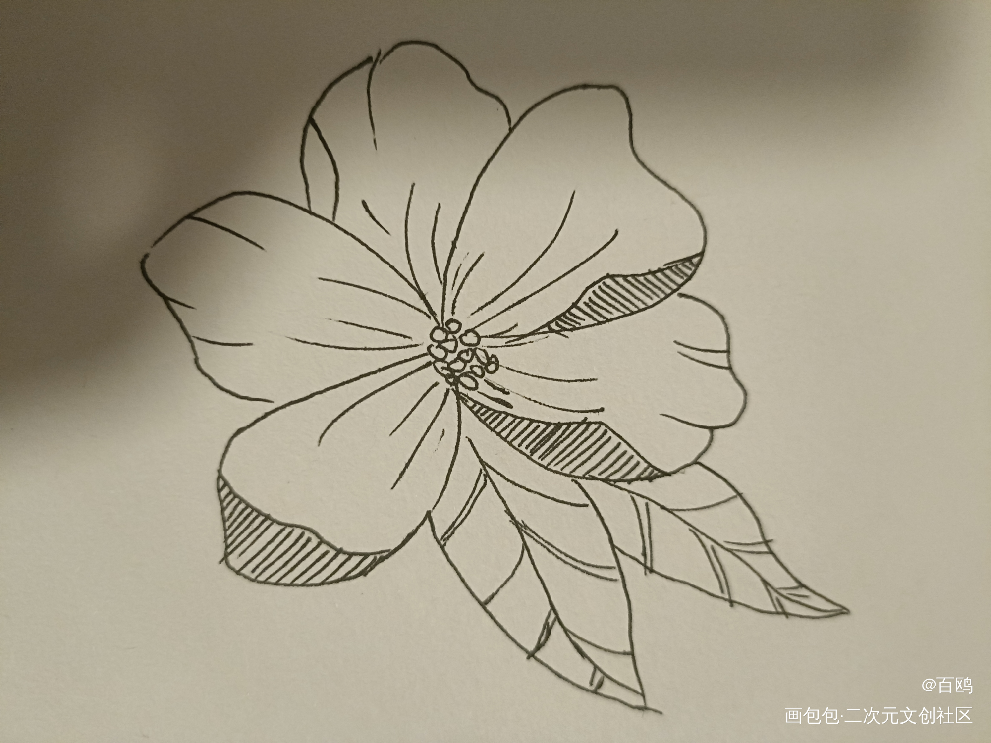 打卡_唤醒春日主题打卡绘画作品