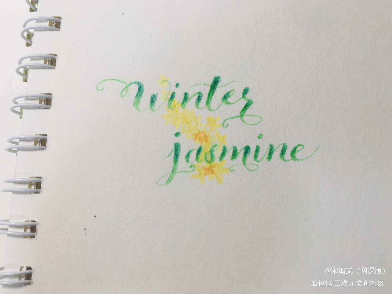 迎春花_手绘手写绘画作品