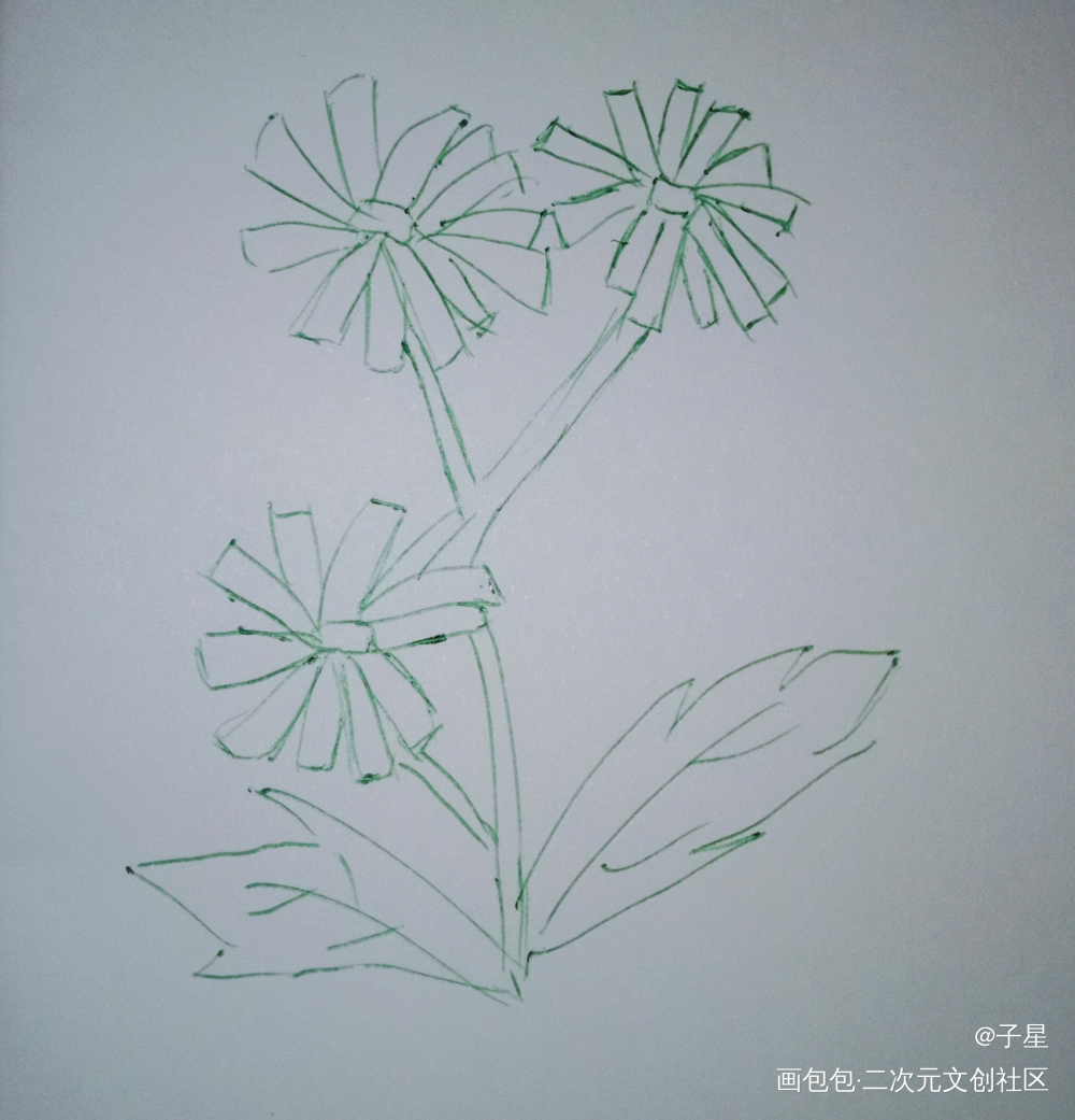 春日里盛开的花儿呀_唤醒春日主题打卡绘画作品