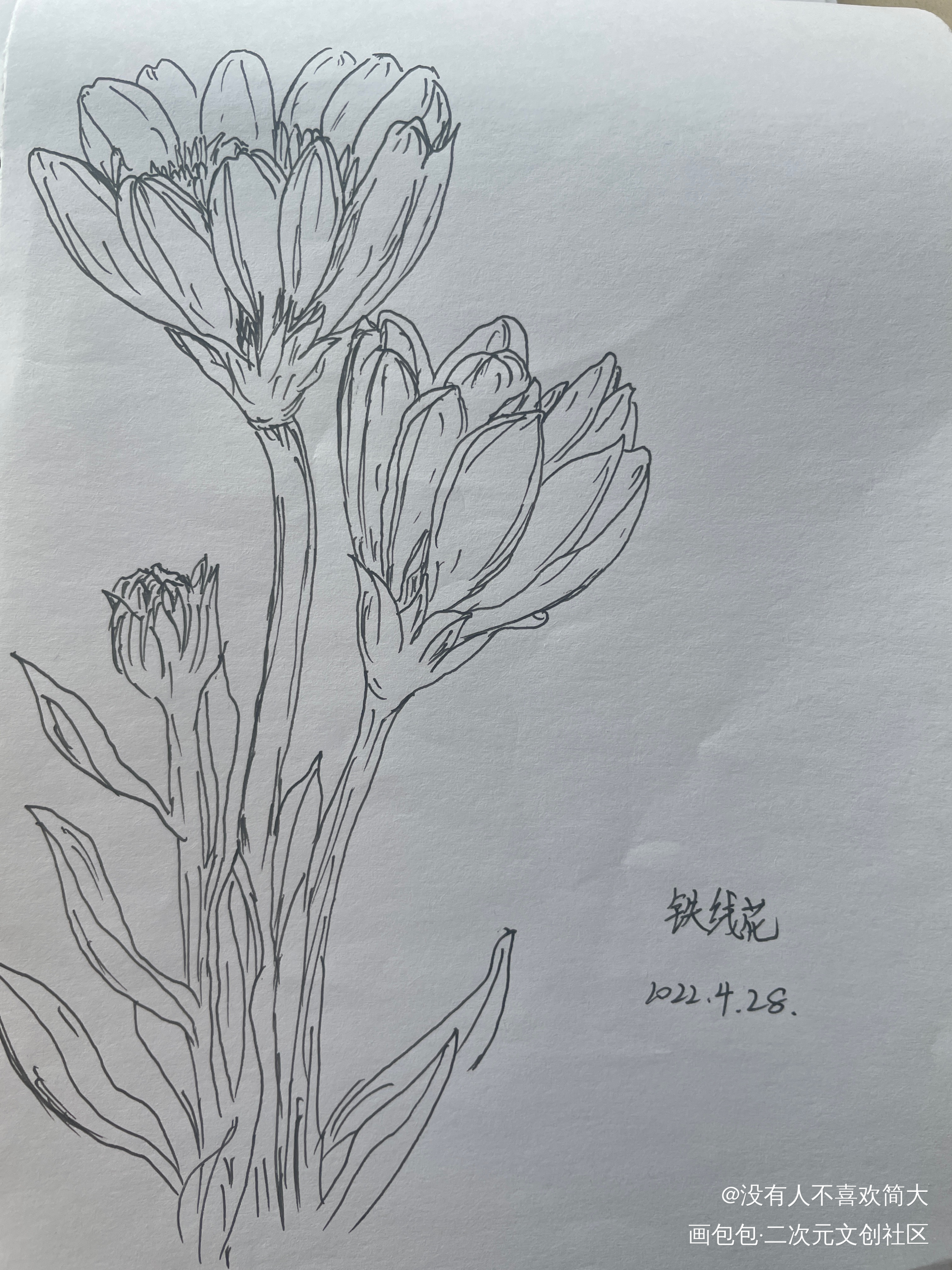 最后一天！_手绘绘画作品