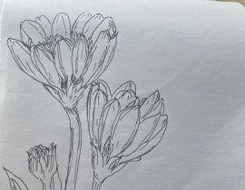 最后一天！_绘画作品