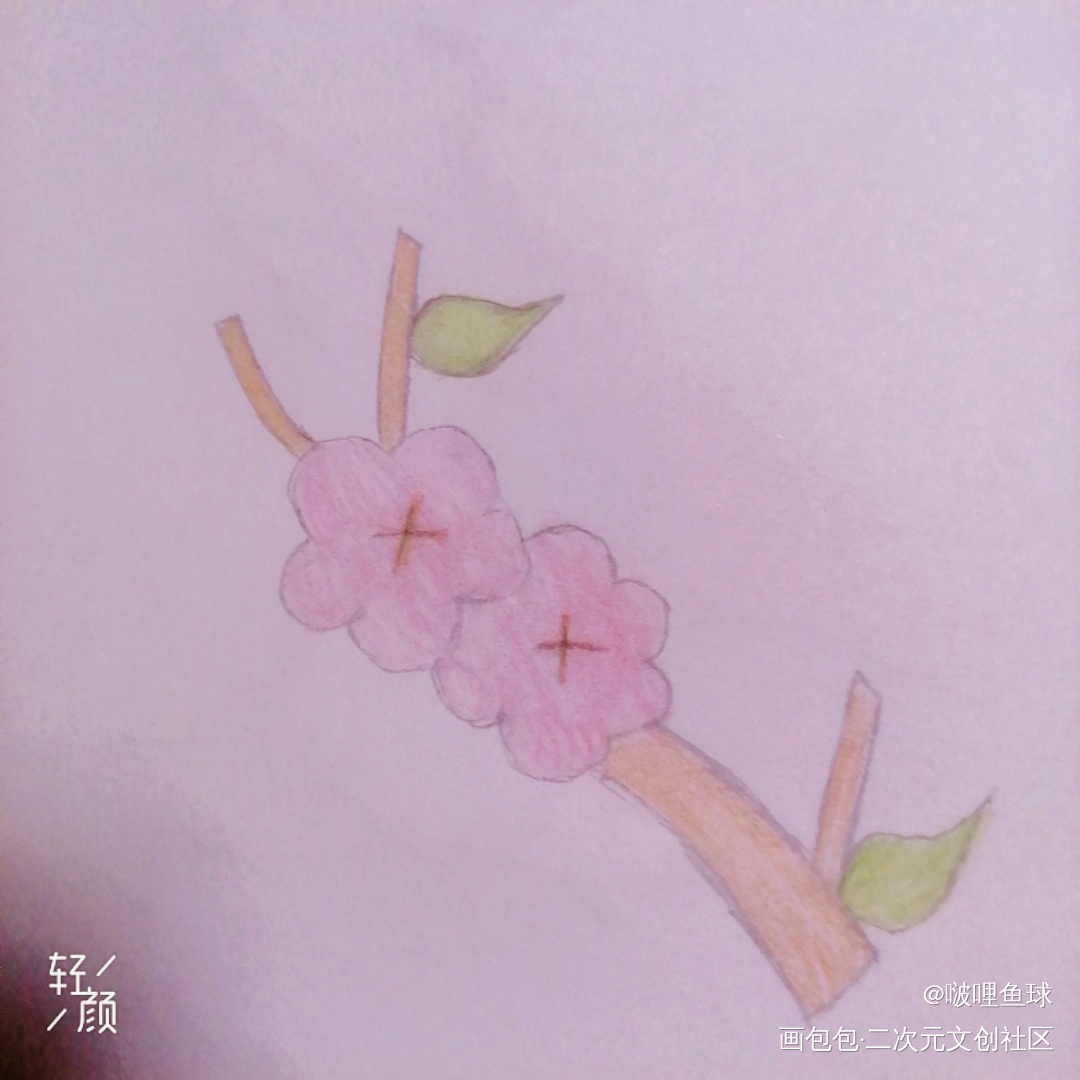 桃花_铅笔绘画作品