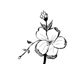 花_绘画作品