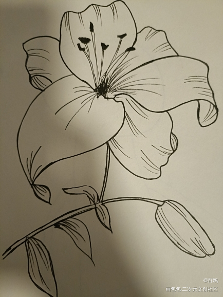 打卡_唤醒春日主题打卡绘画作品