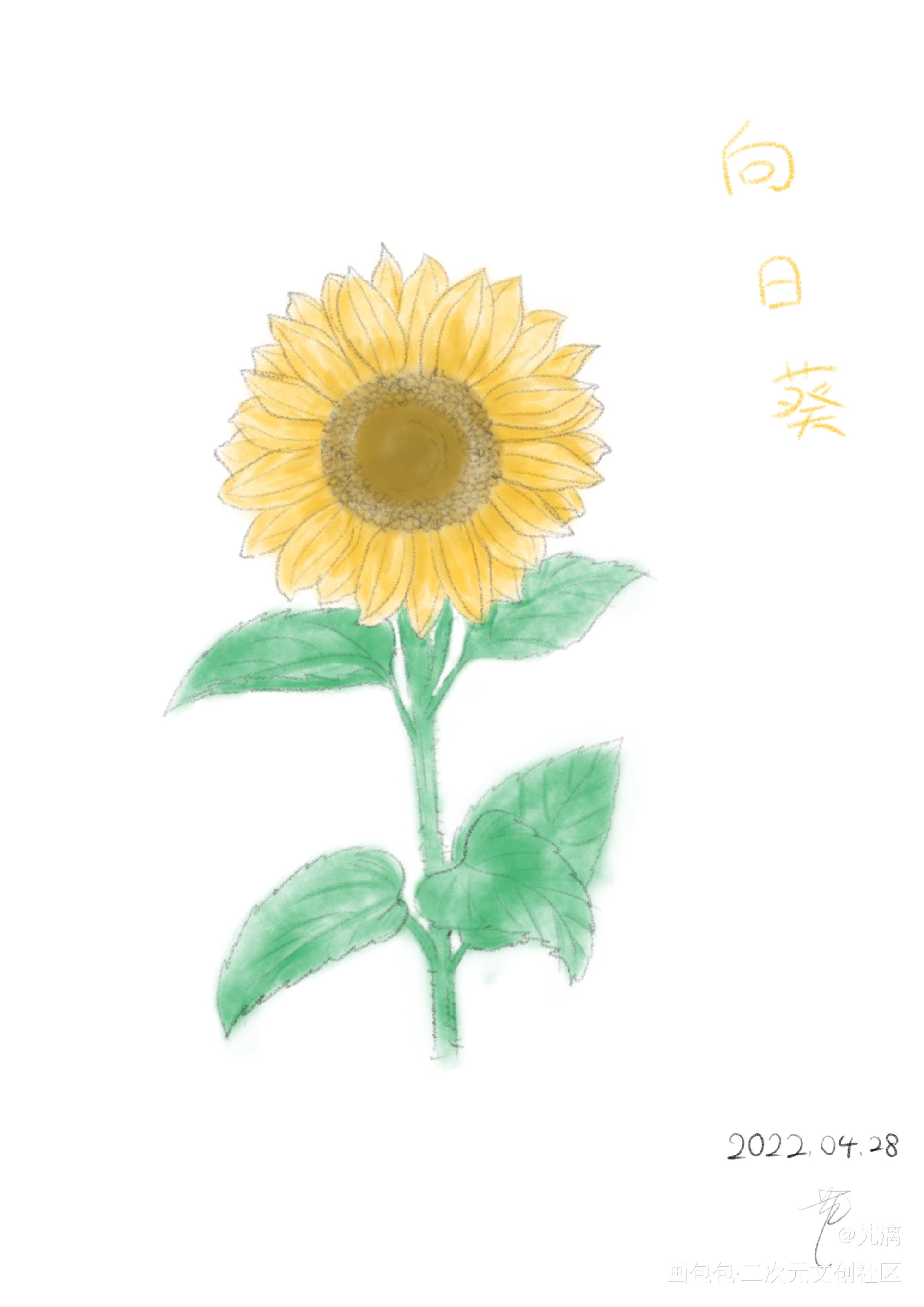 向日葵_板绘绘画作品