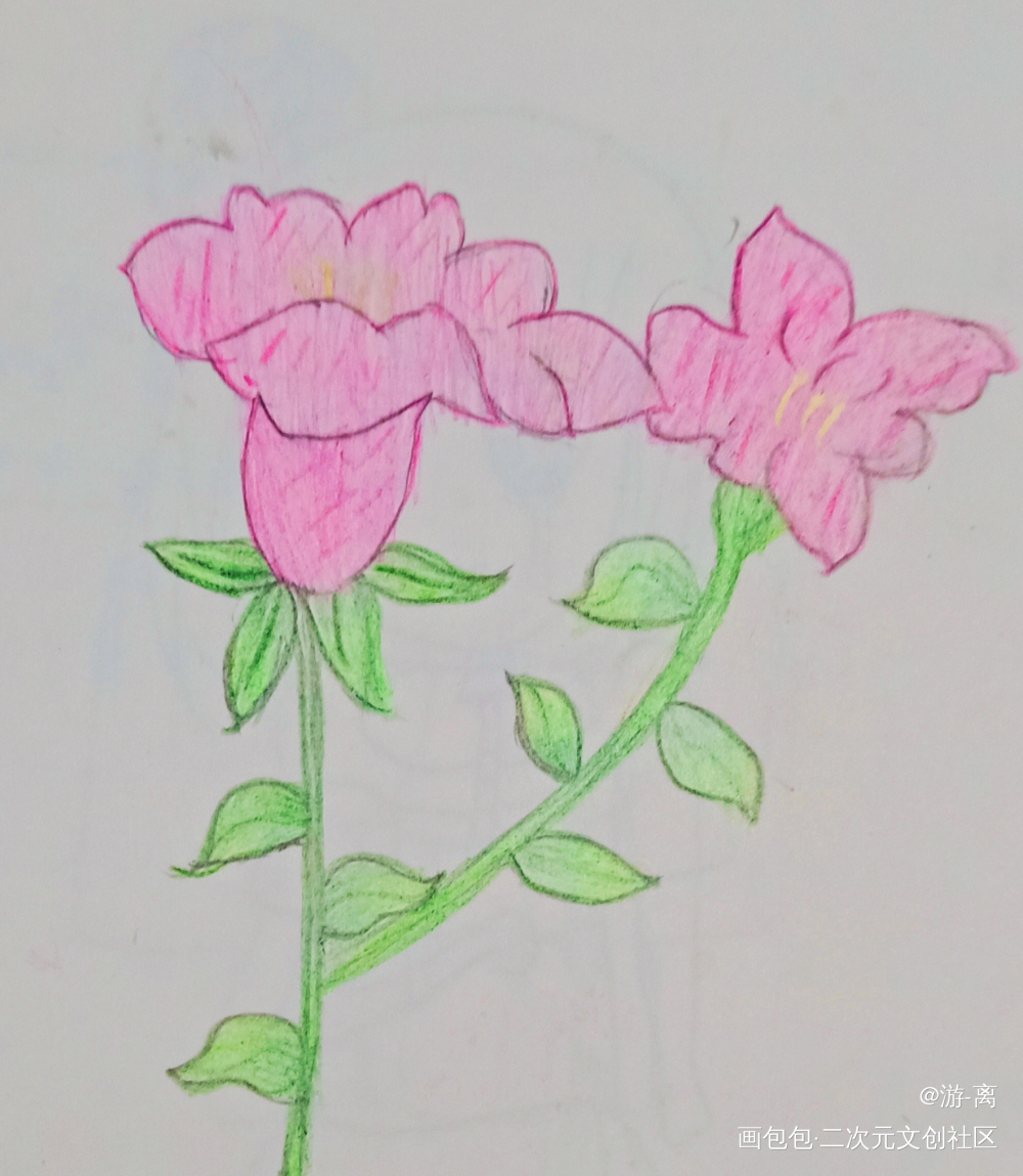 Day5_手绘绘画作品