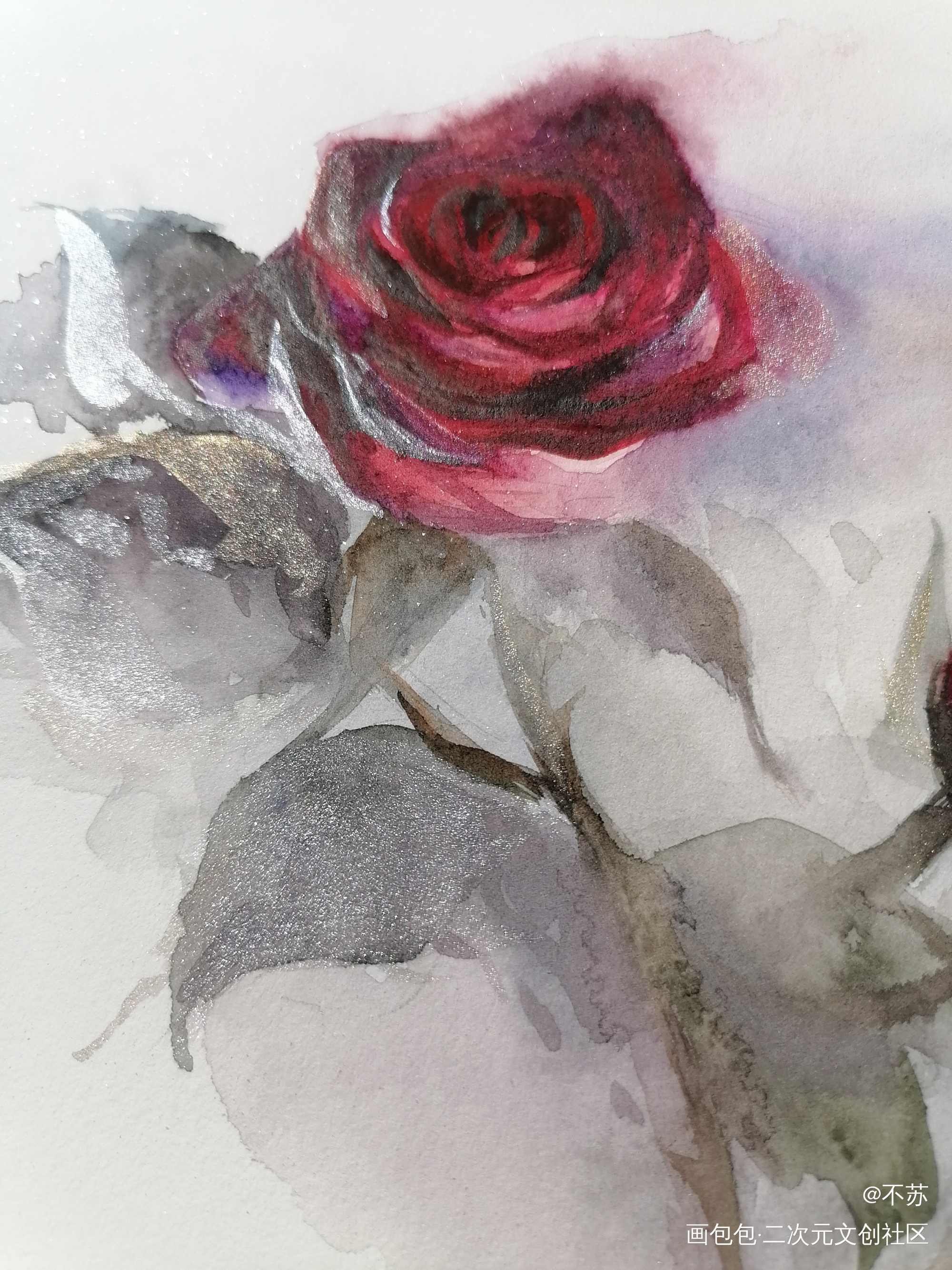 _手绘水彩玫瑰春天绘画作品