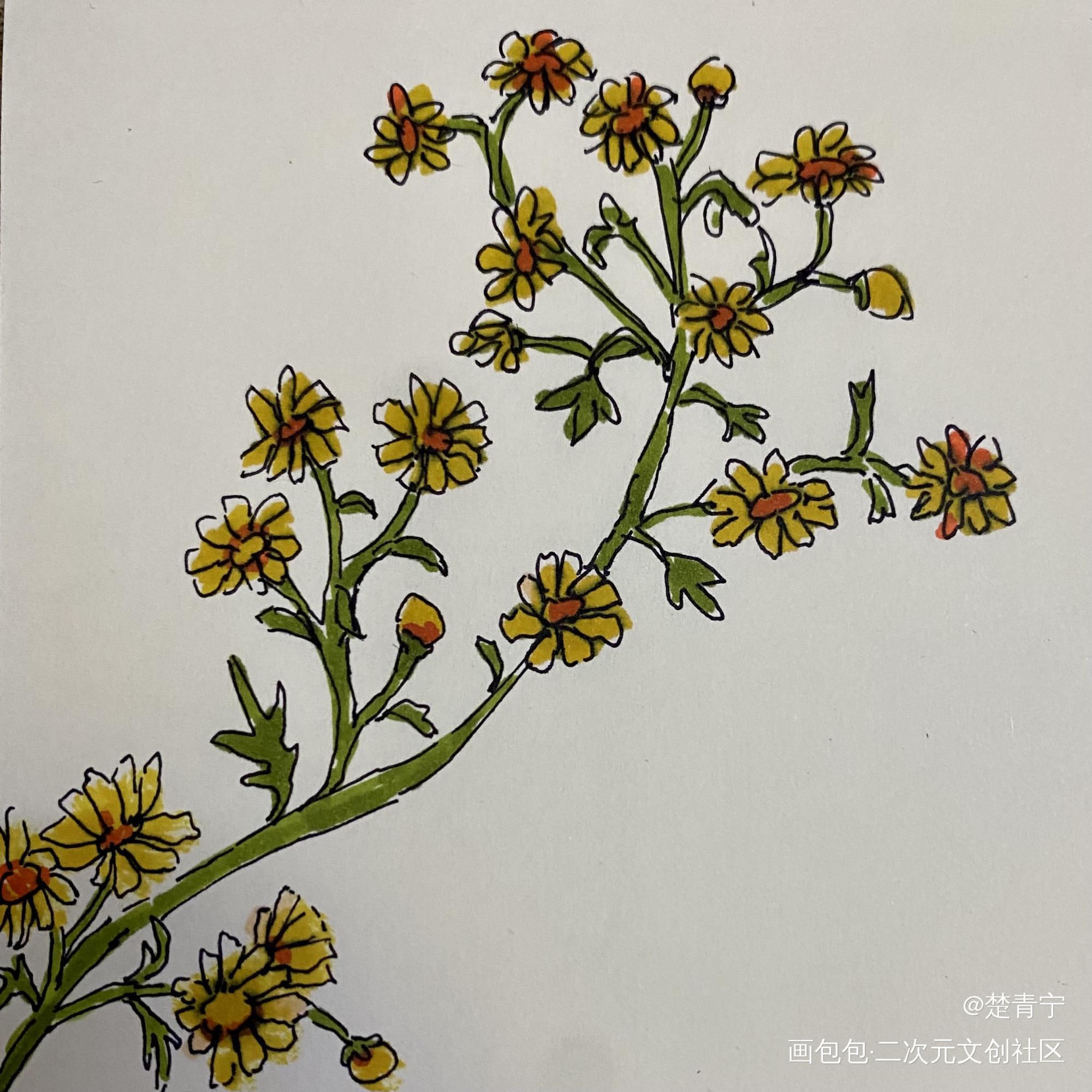 打卡_唤醒春日主题打卡绘画作品