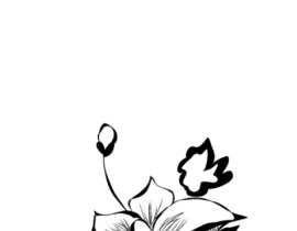 花_绘画作品