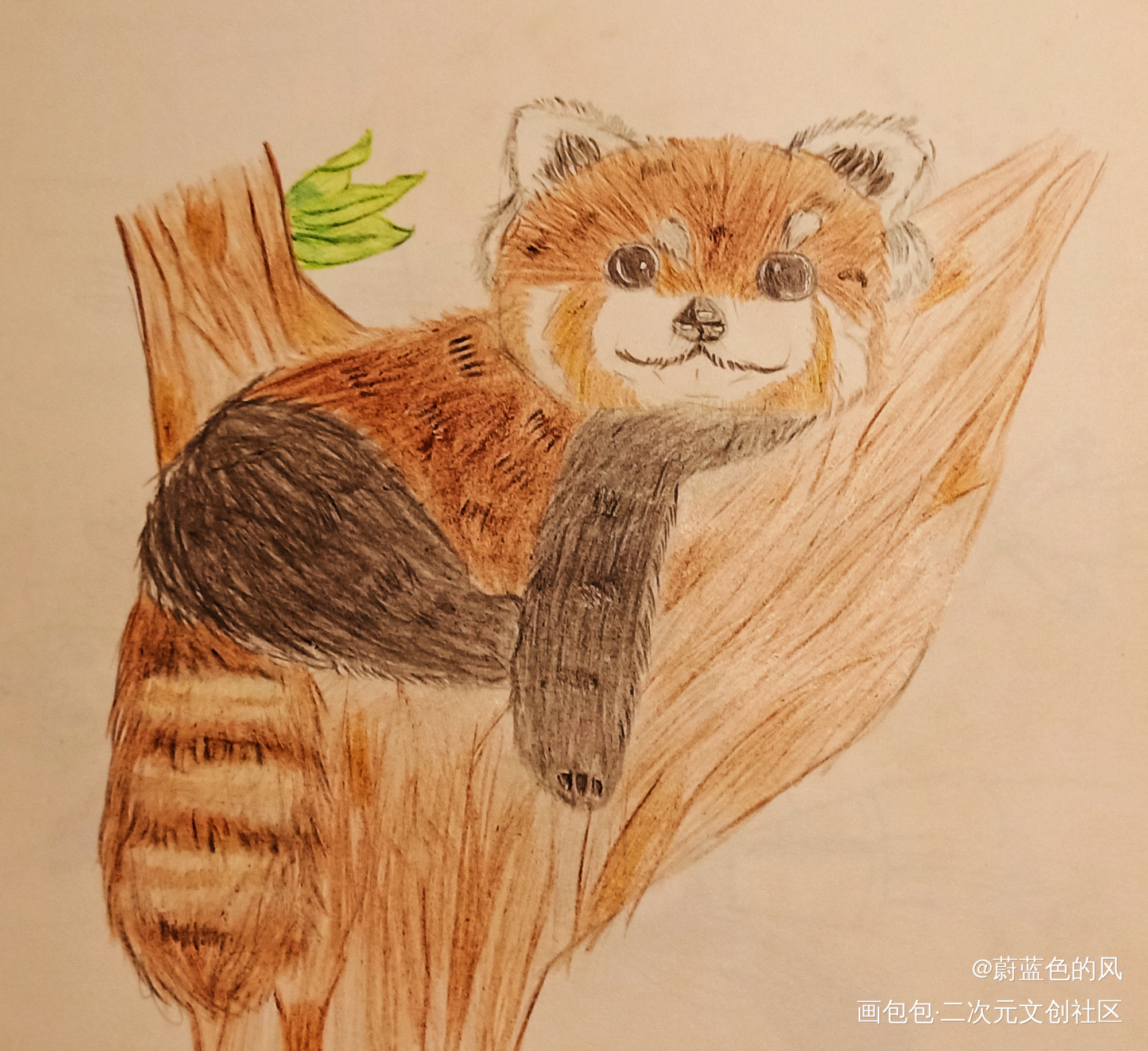 Day3_手绘绘画作品