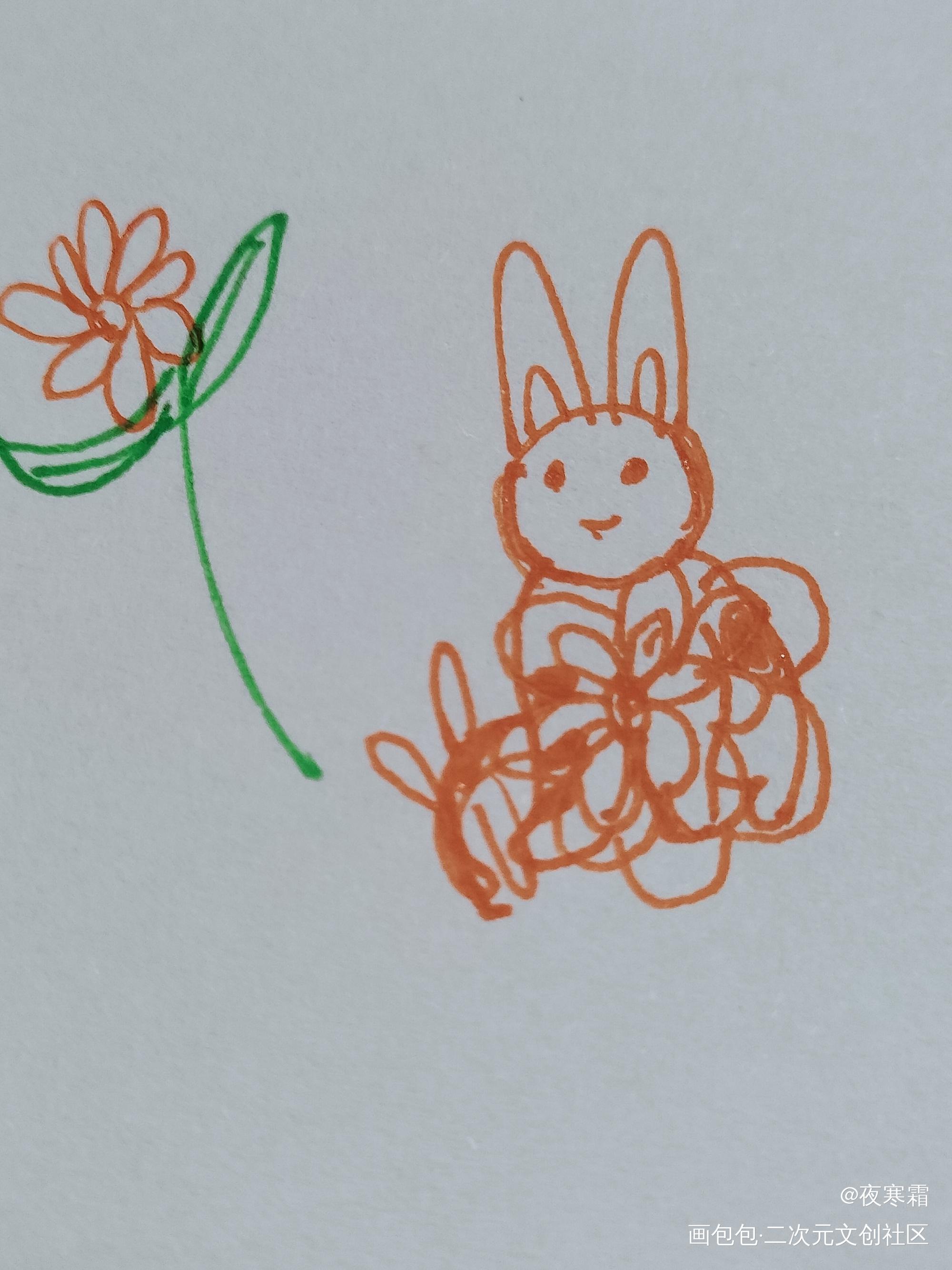 春_圆珠笔绘画作品