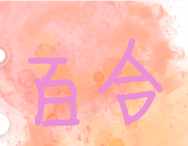 百合_绘画作品