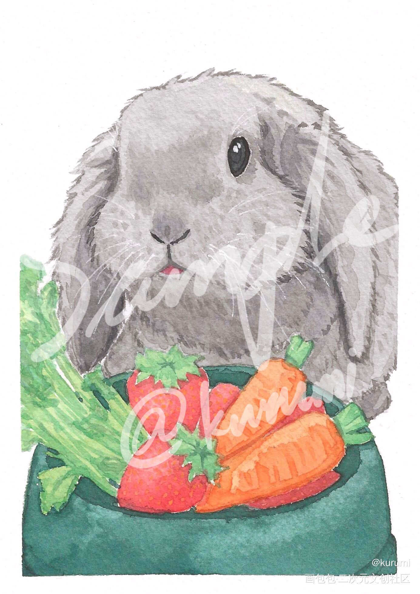 水彩垂耳兔_水彩兔子插画客单展示约稿绘画作品