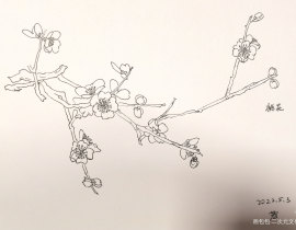 桃花_绘画作品