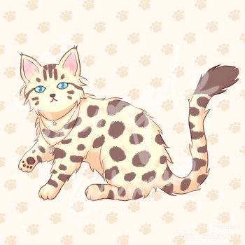 兽设q版 豹猫_q版猫约稿绘画作品