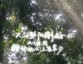某某_绘画作品