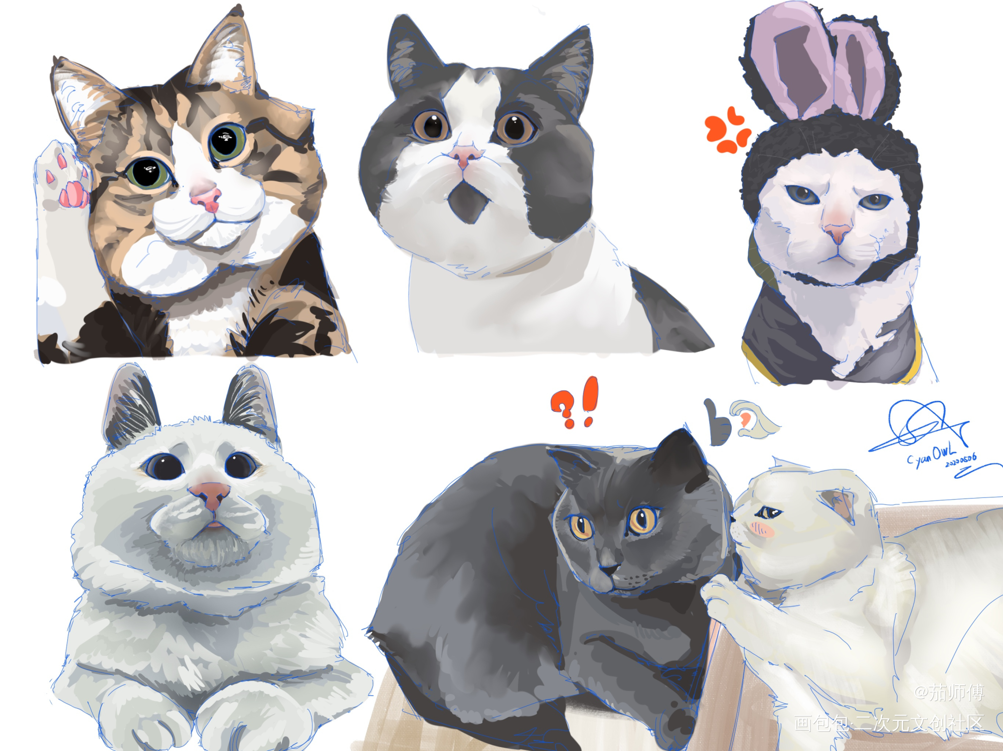 整点小猫咪_厚涂猫咪绘画作品