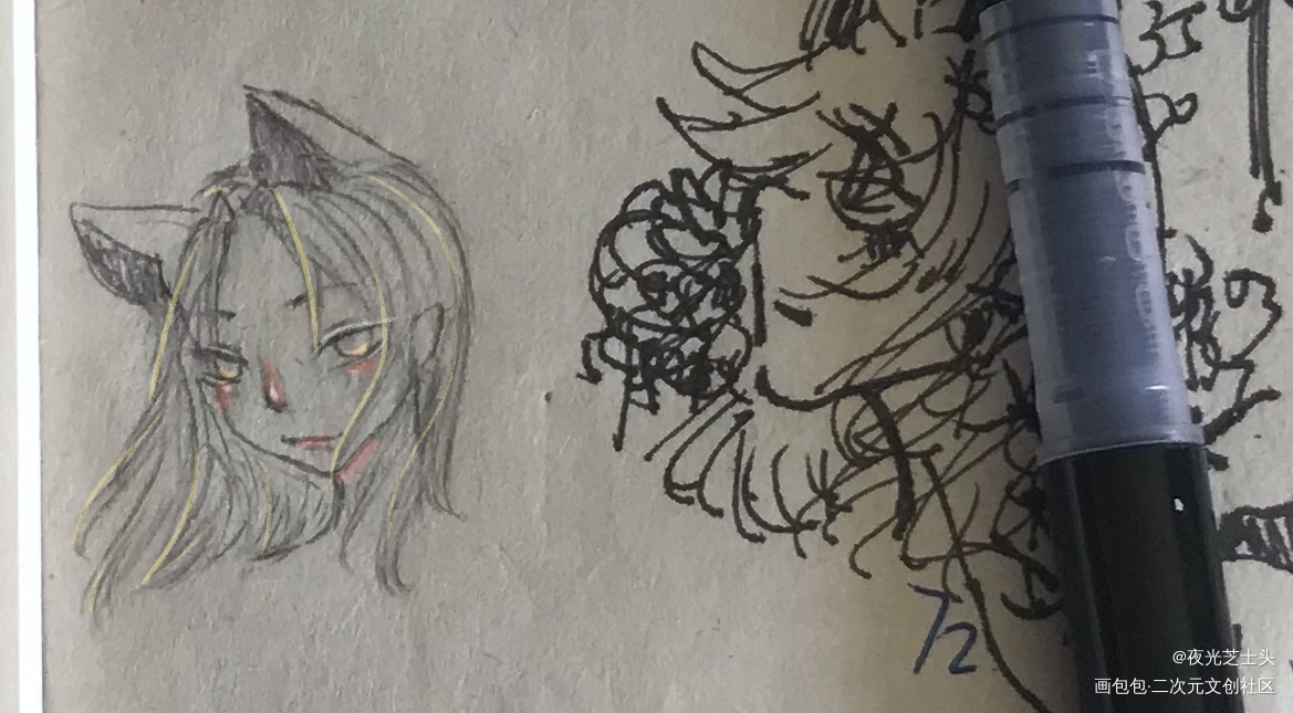 狐狸_摸鱼页绘画作品