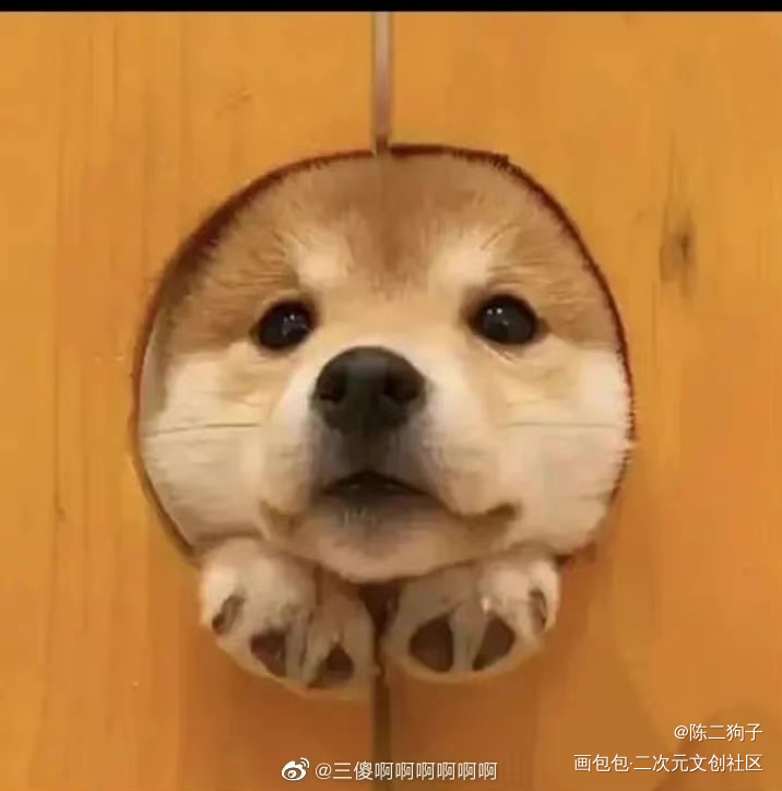 修狗勾_针锋对决188男团原顾顾青裴原炀Q版同人绘画作品