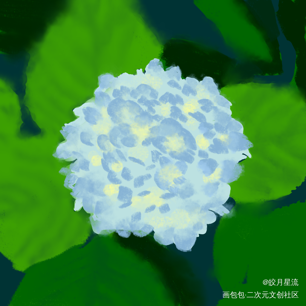 无尽夏绣球花_病案本板绘涂摸鱼页绘画作品