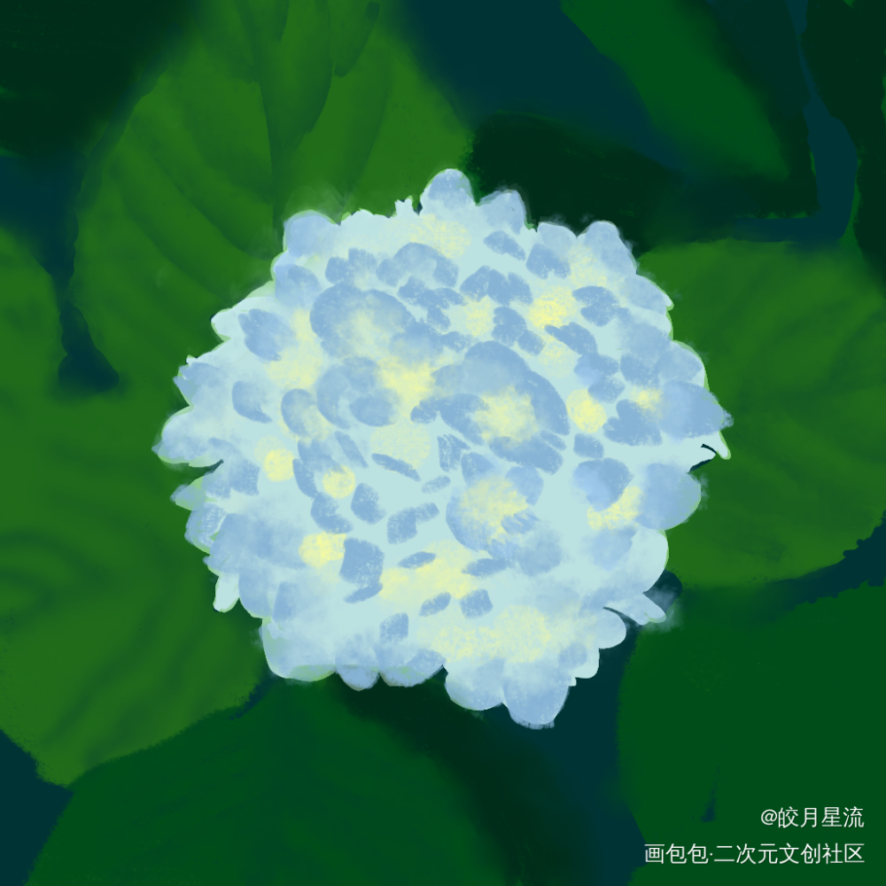 无尽夏绣球花_病案本板绘涂摸鱼页绘画作品