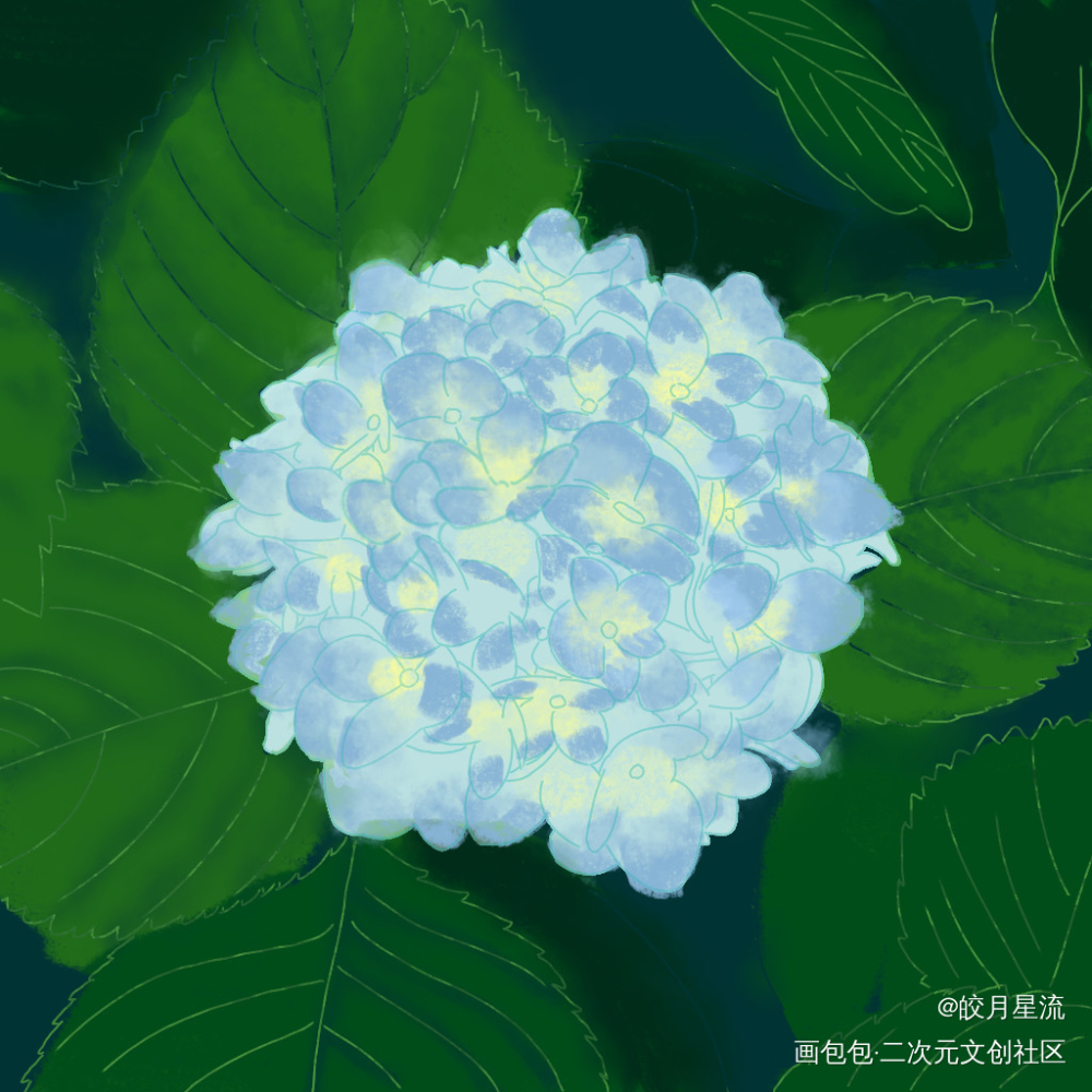 无尽夏绣球花_病案本板绘涂摸鱼页绘画作品