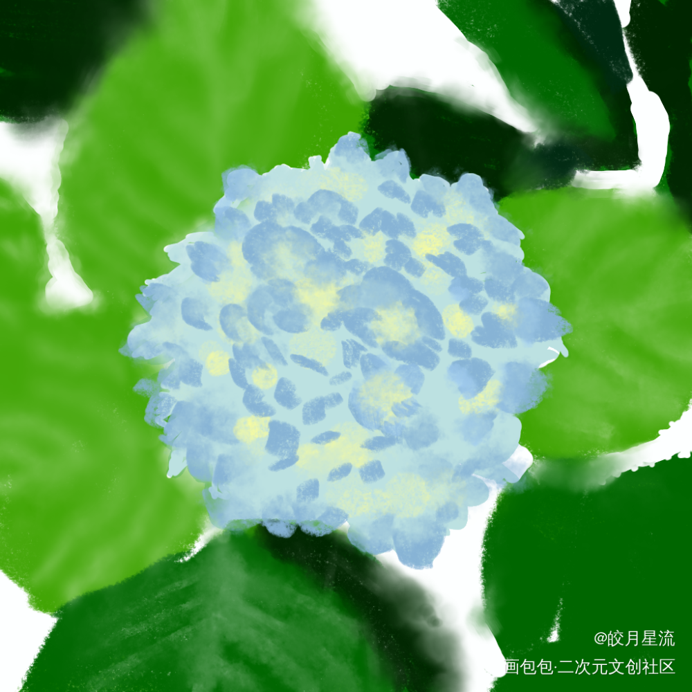 无尽夏绣球花_病案本板绘涂摸鱼页绘画作品