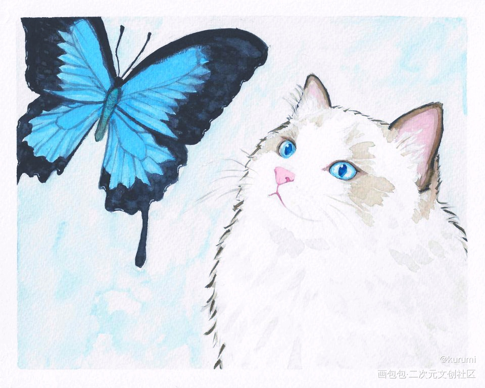 猫与蝶_水彩蝴蝶插画猫原创绘画作品