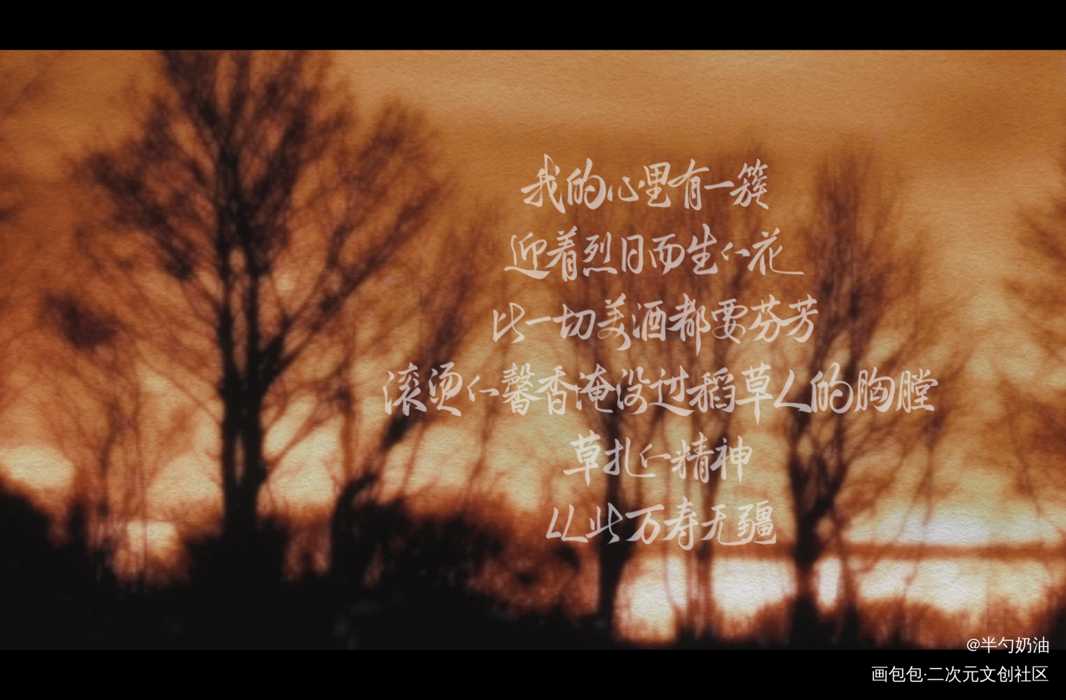 我的心里有一簇迎着烈日而生的花_默读舟渡我要上首推字体设计板写联盟见字如晤板写手写绘画作品