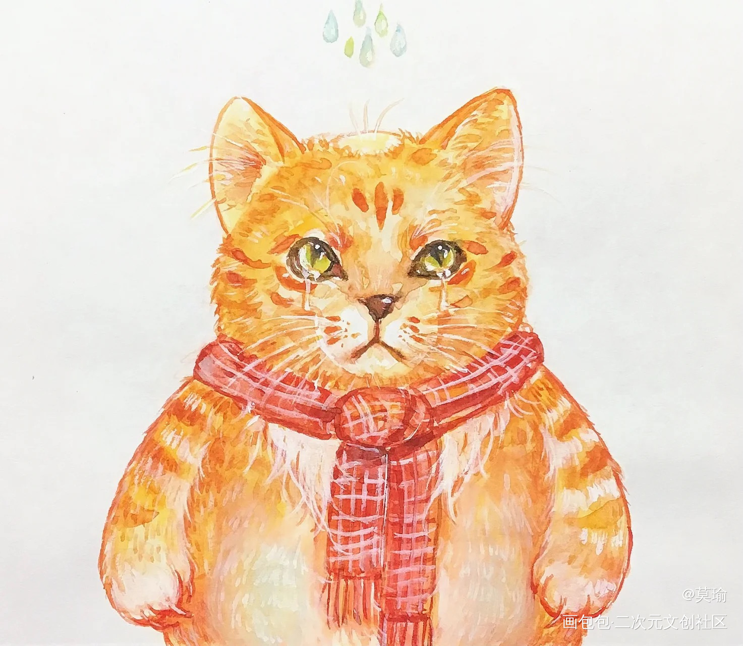 秃头猫猫_手绘水彩手绘可爱Q版Q版头像猫咪头像约稿绘画原创绘画作品