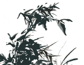 _绘画作品