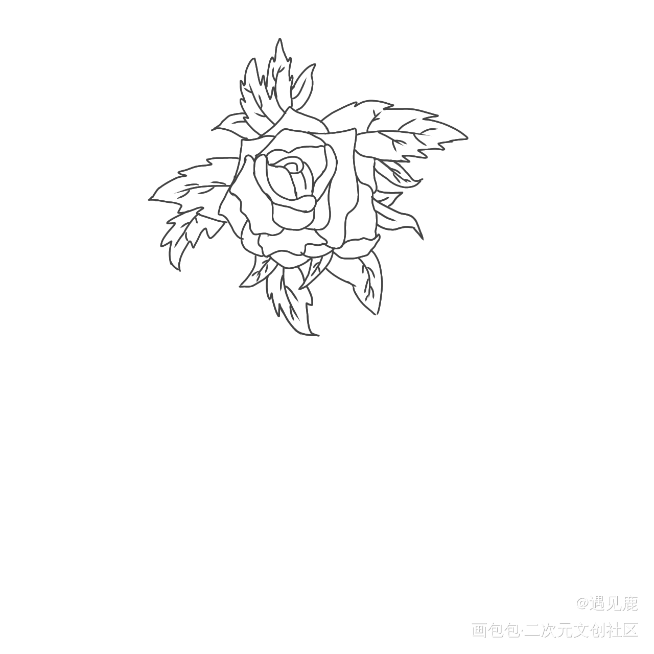 玫瑰_玫瑰绘画作品
