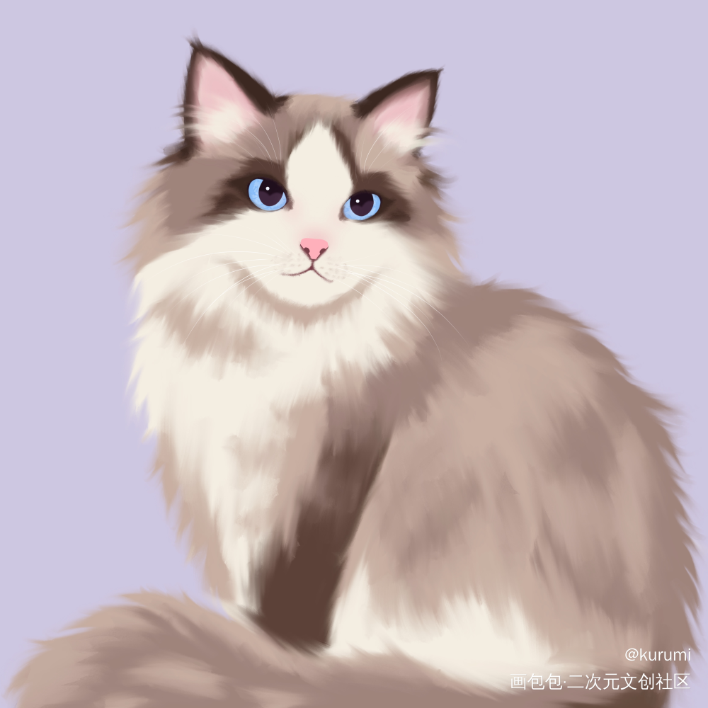 漂亮大布偶_头像插画猫原创绘画作品
