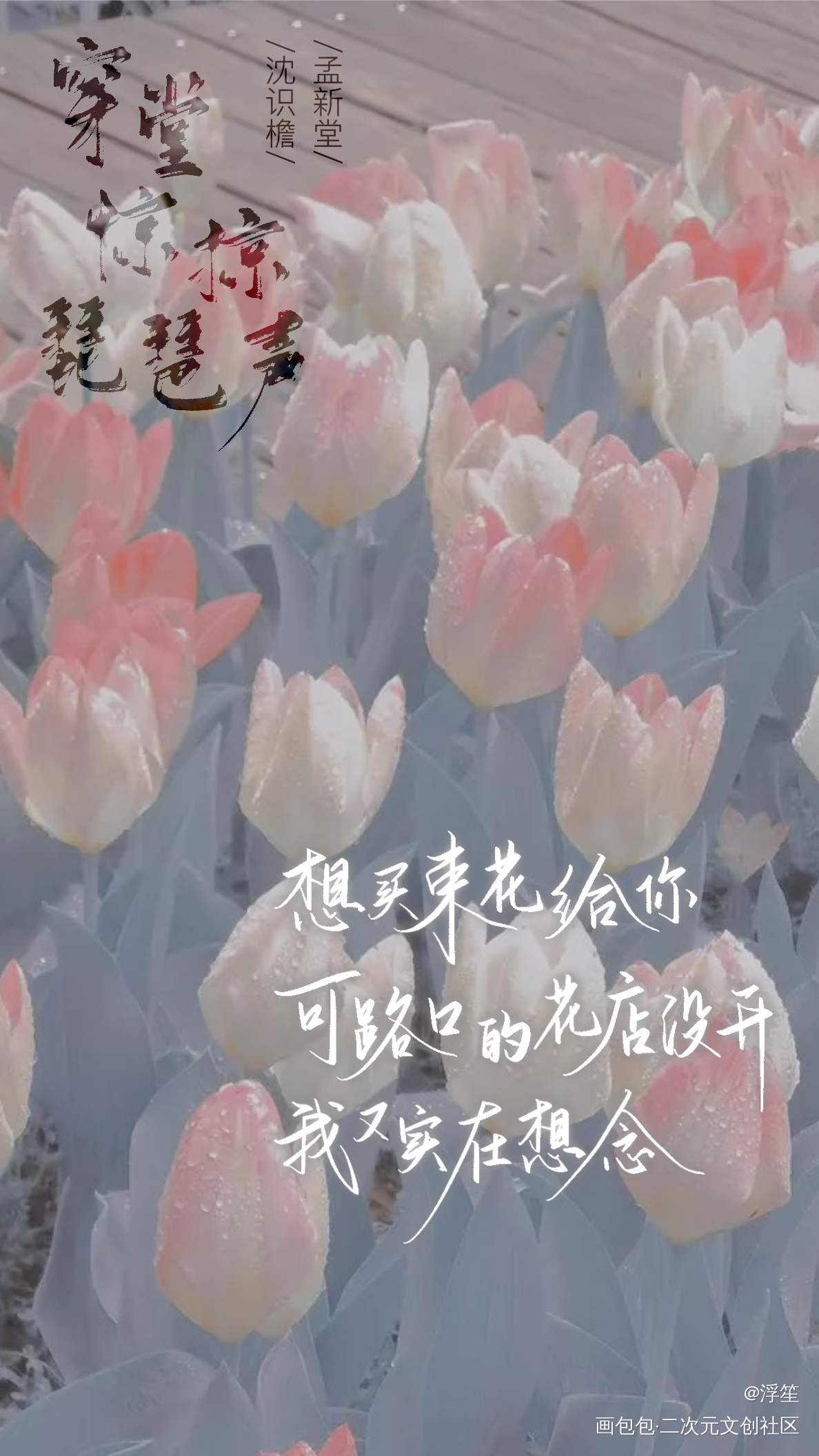穿堂板写_穿堂惊掠琵琶声板写绘画作品