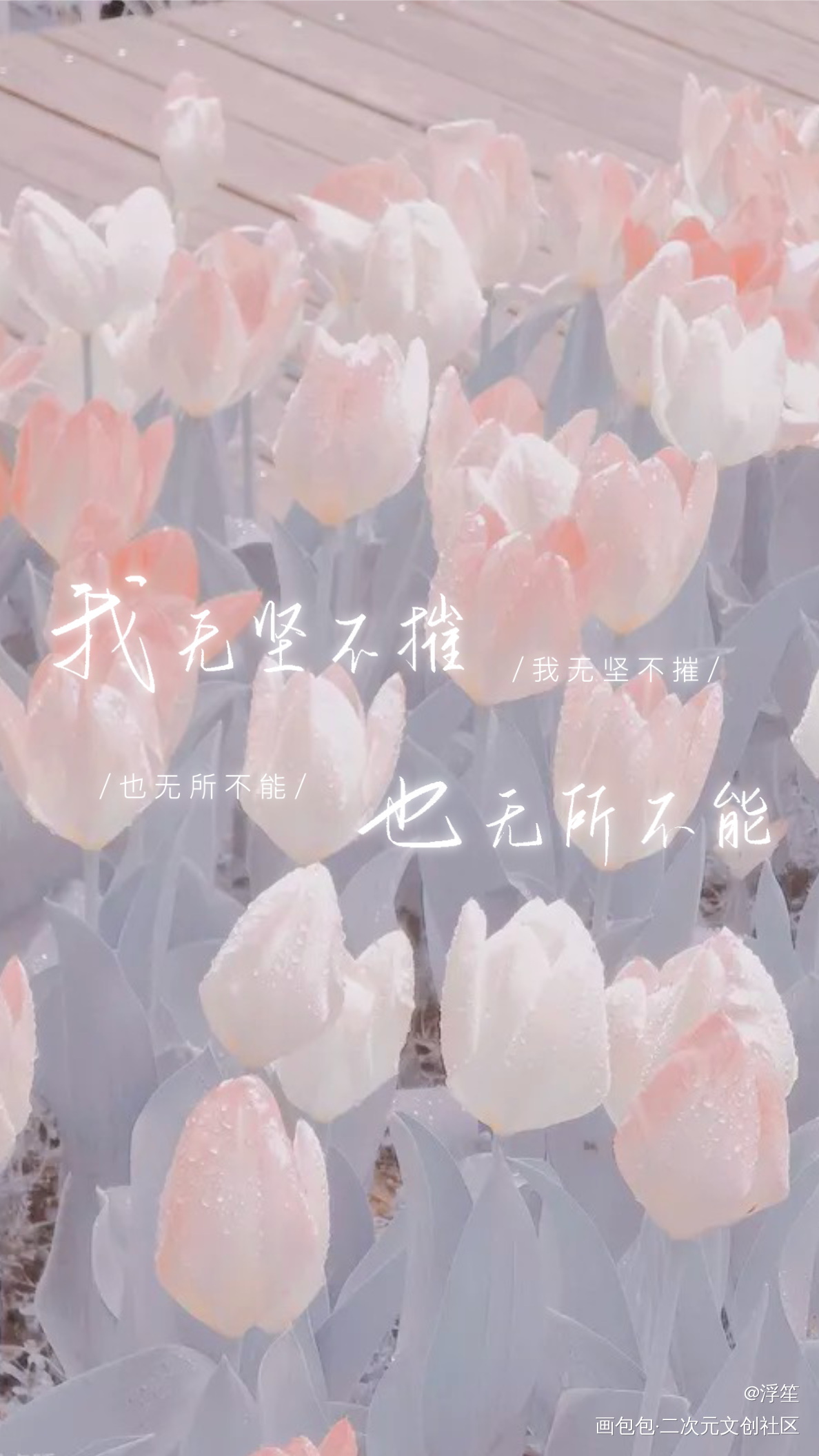 某某板写_某某某某木苏里板写绘画作品