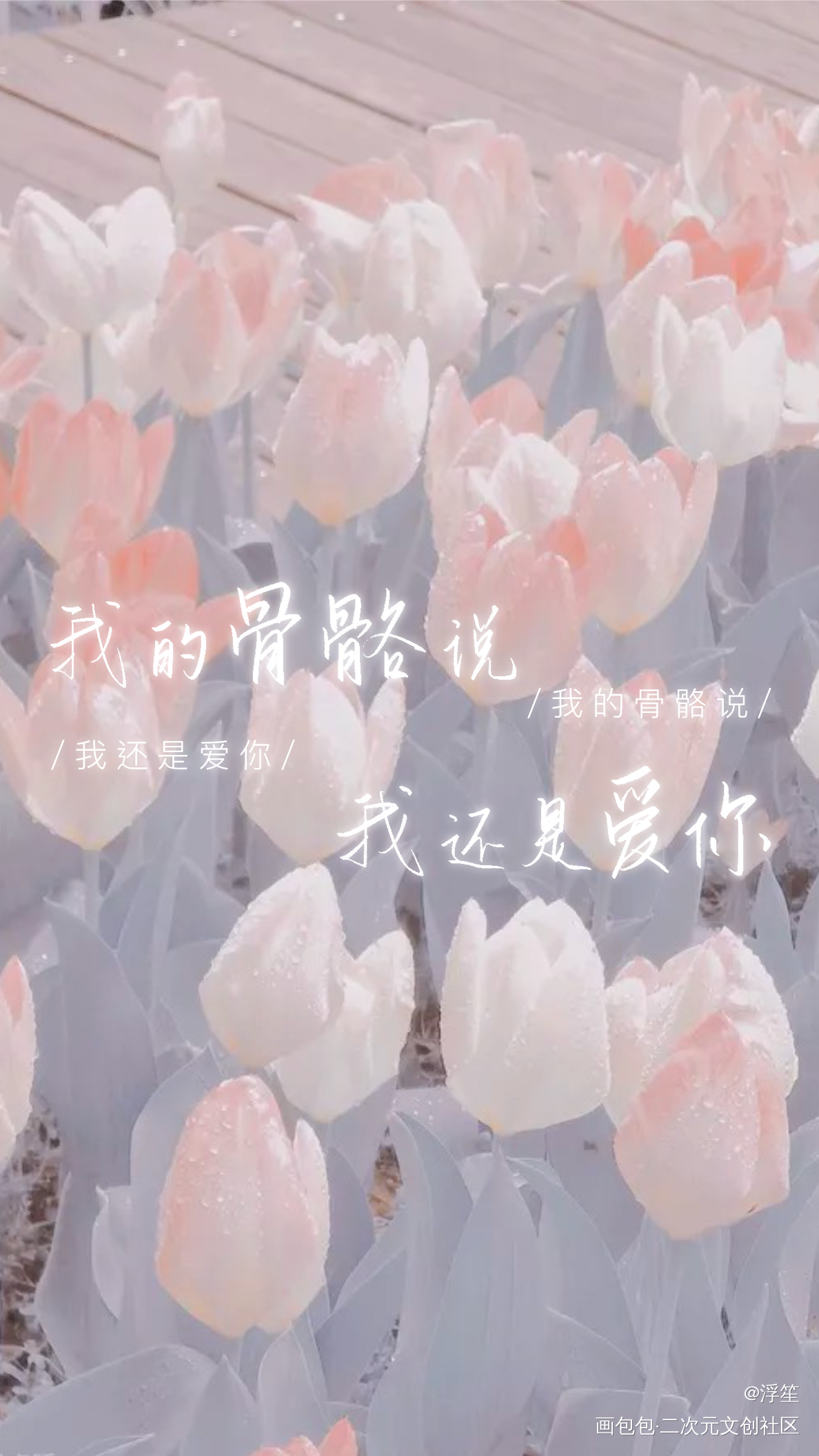 某某板写_某某某某木苏里板写绘画作品