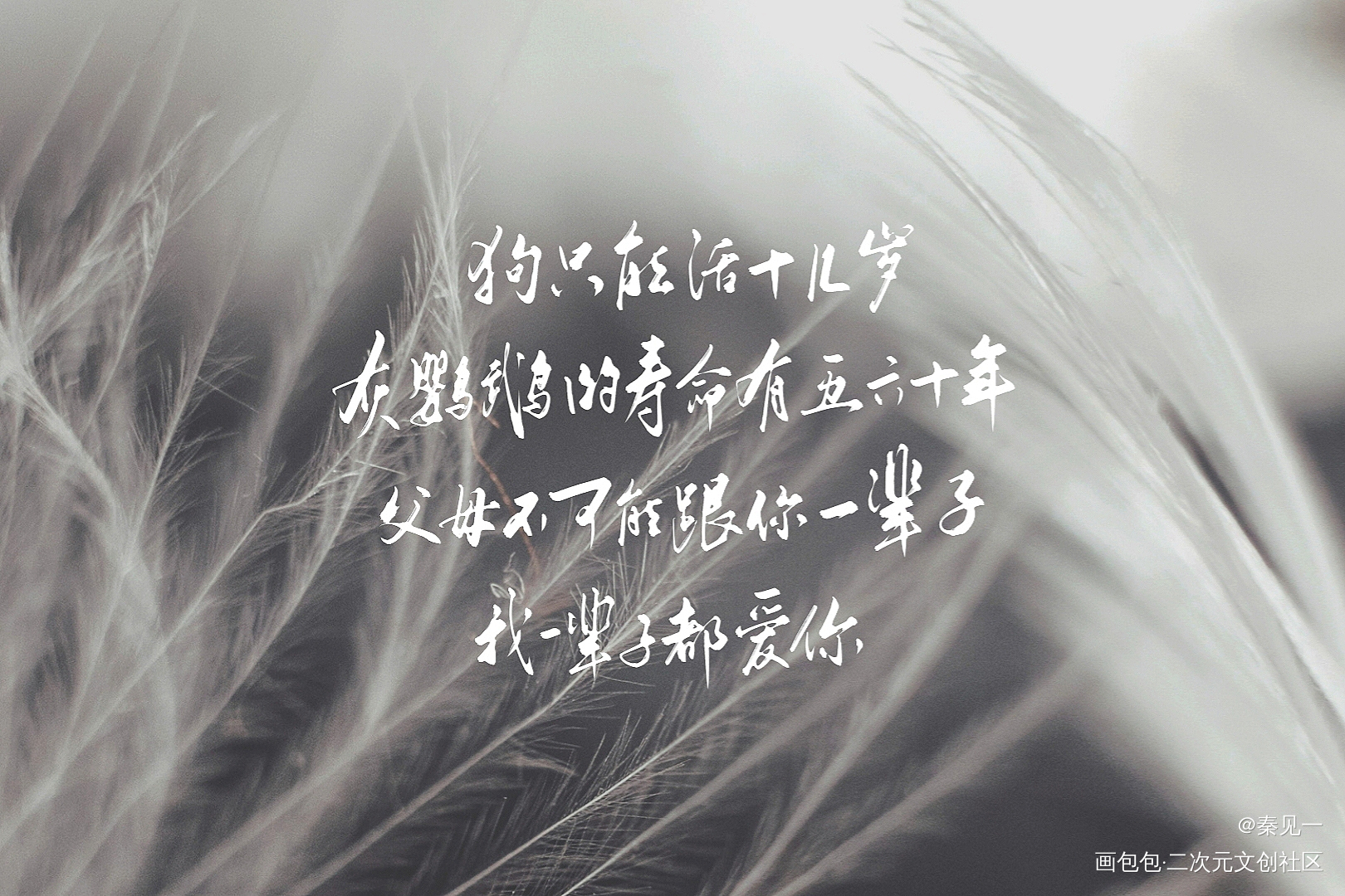 9月开授权用③_过门同人周边设计字体设计见字如晤手写priest绘画作品