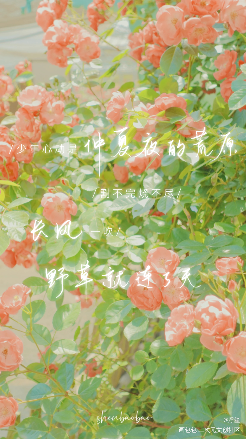 某某板写_某某板写绘画作品