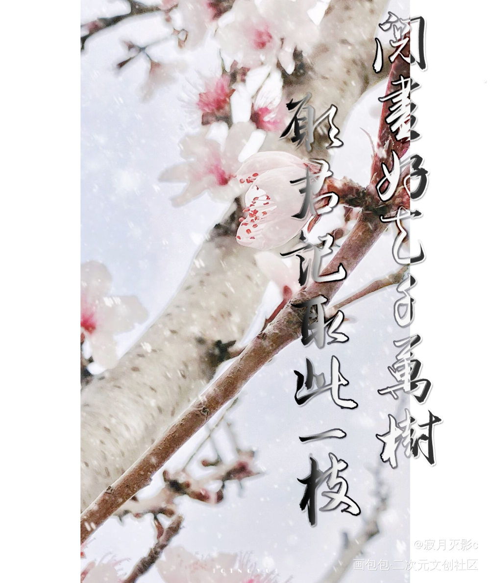 阅尽好花千万树_数位板手写字体设计见字如晤板写手写绘画作品