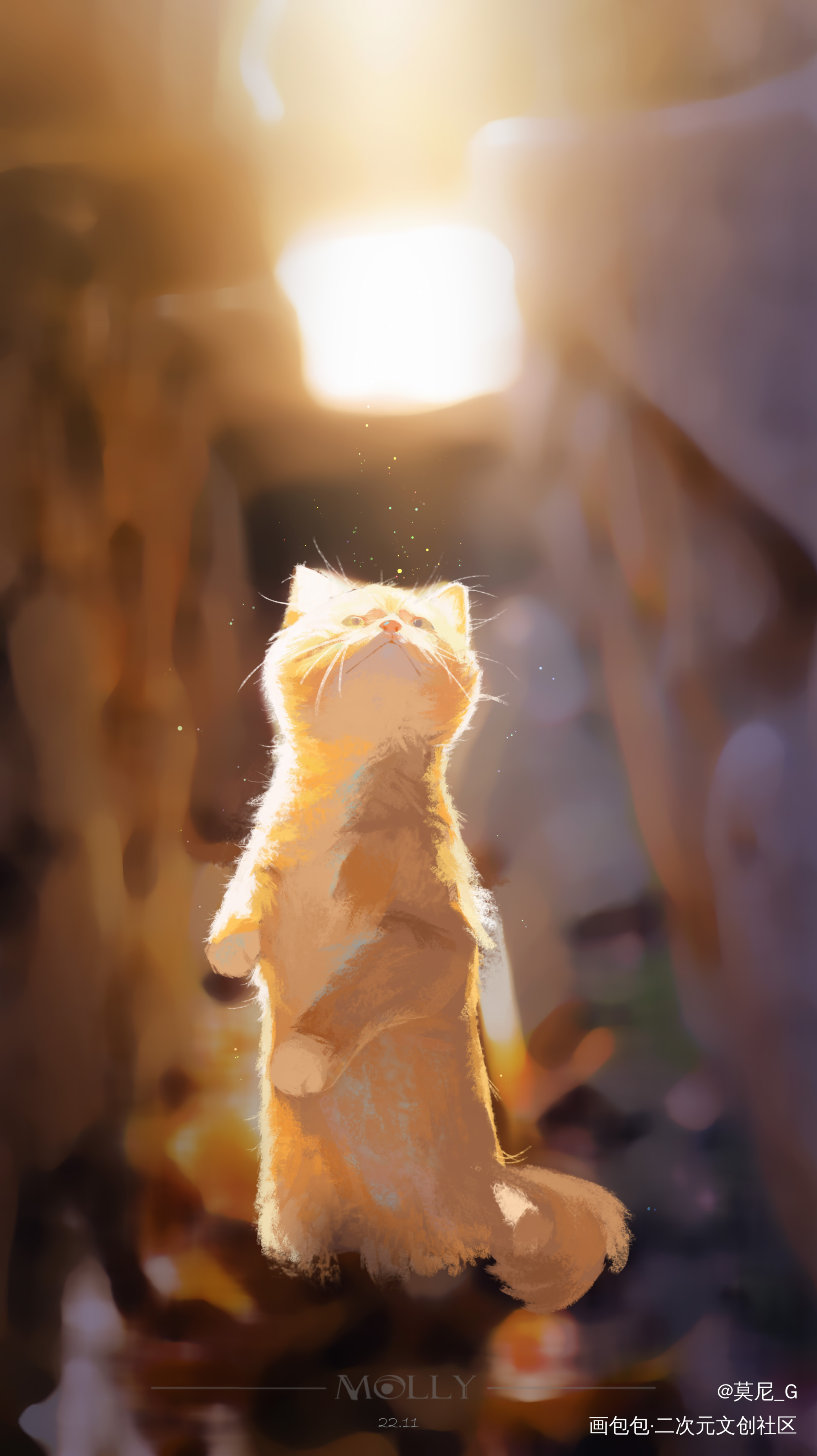 阳光下的猫猫_猫猫板绘涂我要上首推插画绘画练习绘画绘画作品