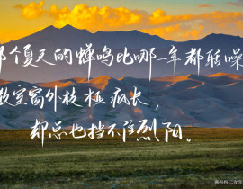 _绘画作品