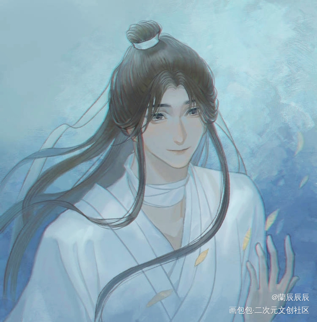 谢怜_天官赐福谢怜头像绘画作品