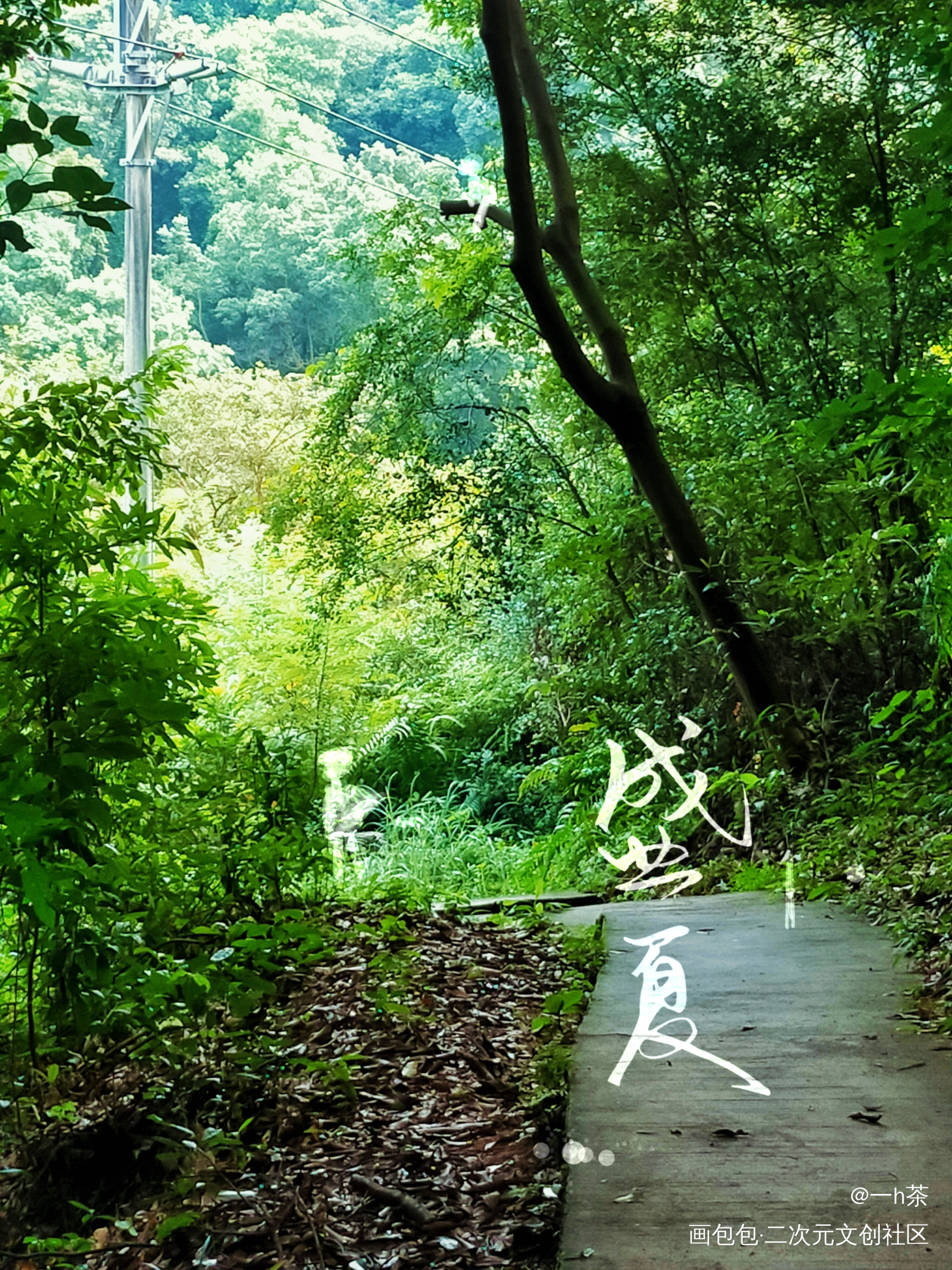_某某盛夏绘画作品