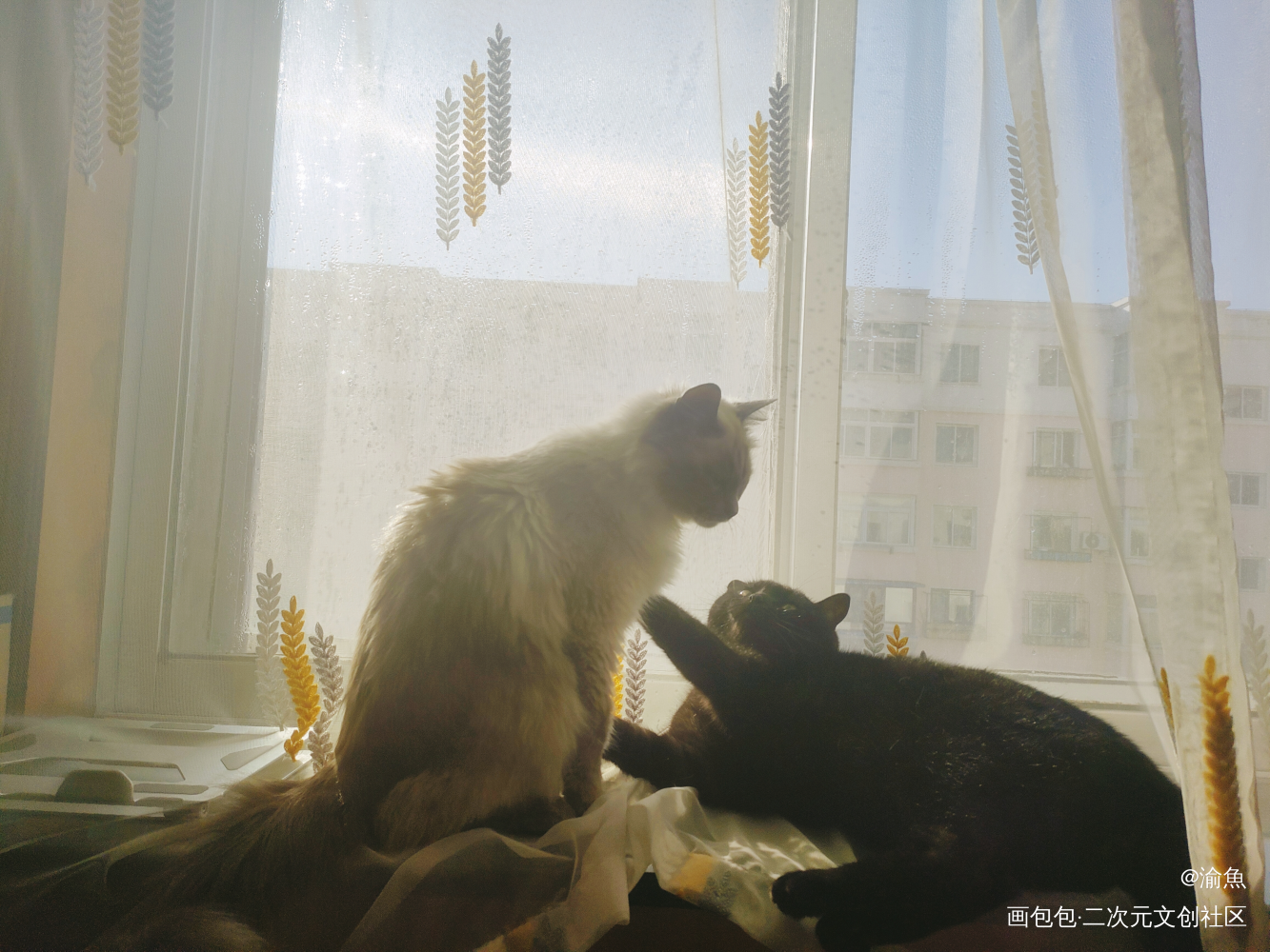 自家猫猫拟人1_猫猫古风厚涂水彩板绘插画板绘绘画oc绘画作品
