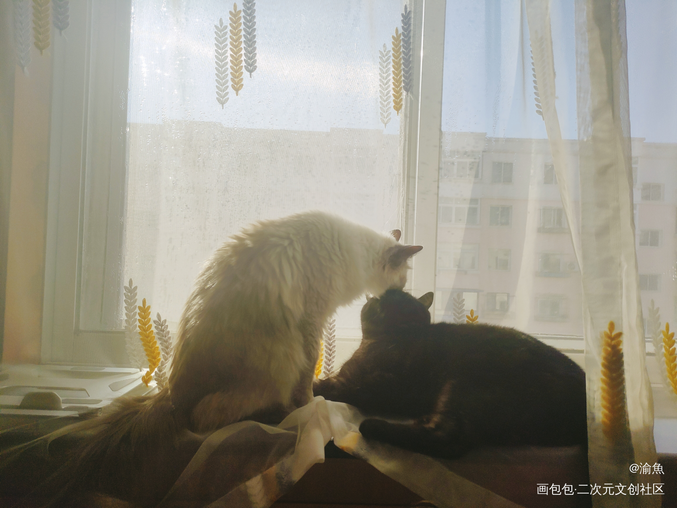 自家猫猫拟人1_猫猫古风厚涂水彩板绘插画板绘绘画oc绘画作品