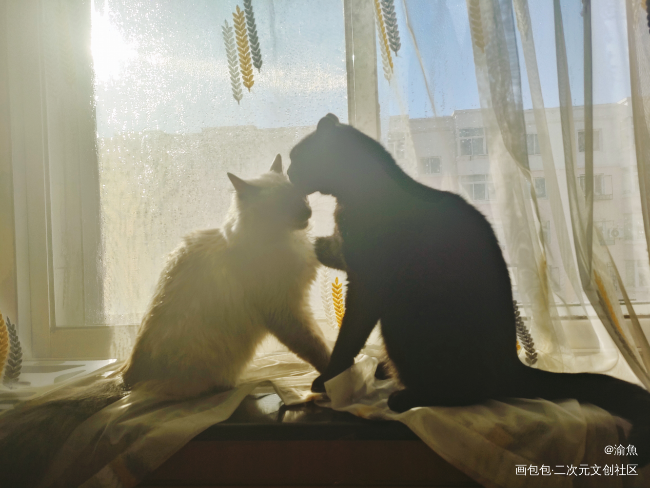 oc黑咪，黑皮好还是白皮好？_古风厚涂头像古风插画摸鱼壁纸板绘绘画oc绘画作品