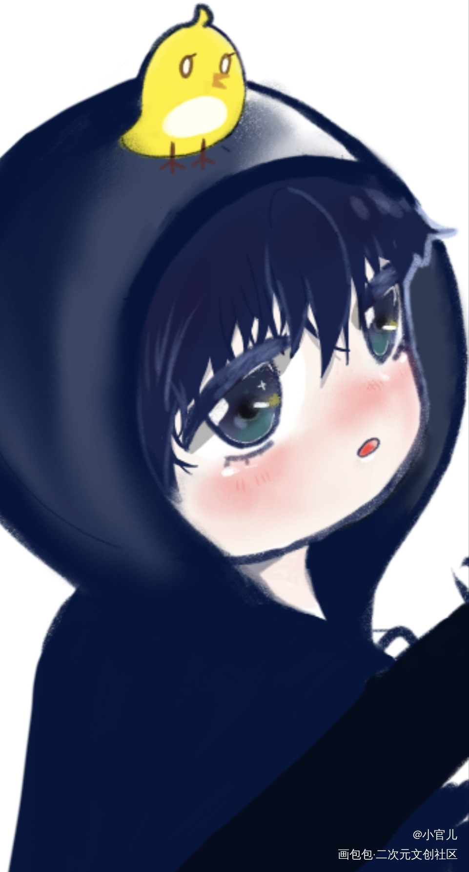 小黄鸡_盗墓笔记张起灵摸鱼页绘画作品