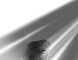 _绘画作品